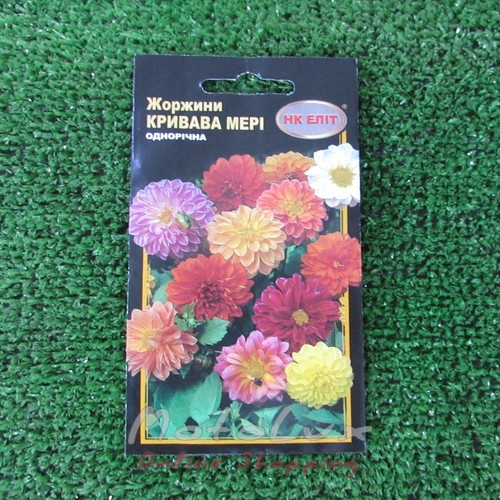 Seeds Flowers Dahlias mixture Bloody Mary 0.3 g