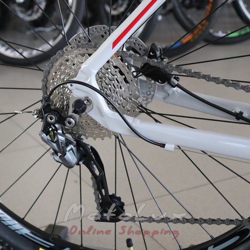 Mountain bicycle Cyclone ALX, wheel 29, frame 18, 2019, grey