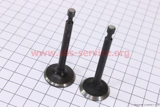 Intake and exhaust valve, 168F
