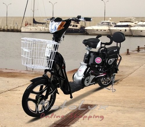 Robbanómotoros kerékpár Skybike Elf 2