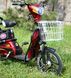 Electric moped Skybike Elf 2