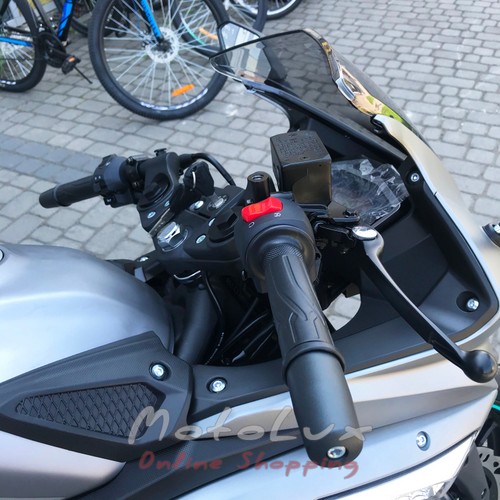Motocykel Voge 300RR ABS