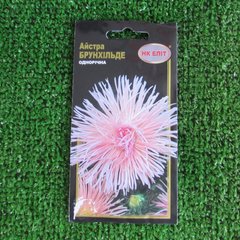 Semená Kvety Aster Brunhilde 0,3 g