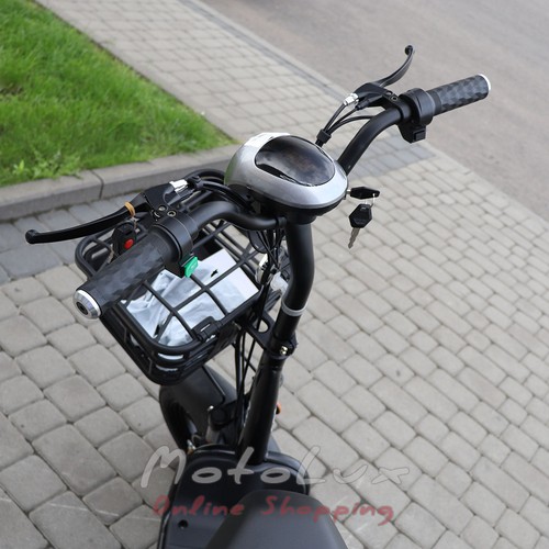 Two-wheel electric bicycle Fada Lido FDEB 03LA-48, silver