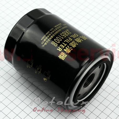 Oil filter M24x2 for minitractor