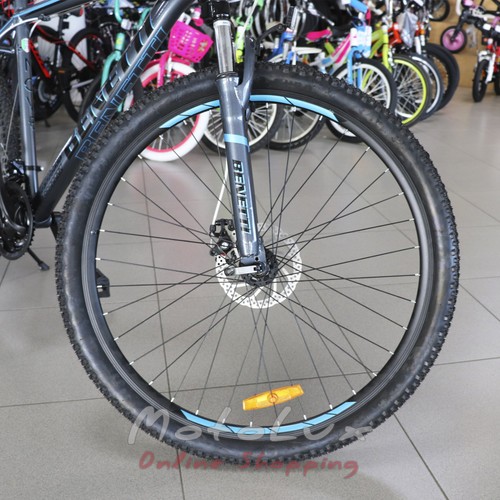 Mountain bike Benetti Nove DD, wheels 29, frame 21, 2020, grey n blue
