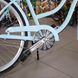 Országúti kerékpár Neuzer California, kerekek 26, 17-es váz, Shimano Nexus, türkiz
