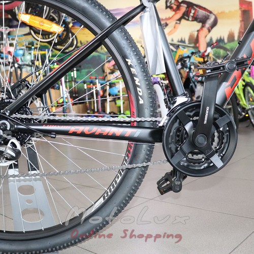 Avanti Canyon ER mountain bike, frame 17, wheels 29, black n red, 2021