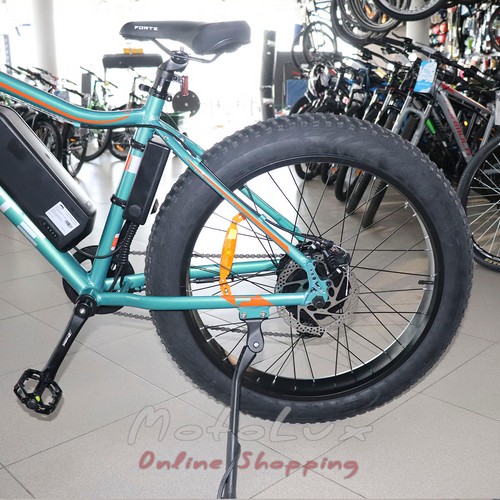 Battery bike Forte RAPID, 500 W, wheel 26, frame 18, Green