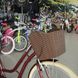 Városi kerékpár Dorozhnik Coral, agyváltó, 28", keret 19, 2020, rubin