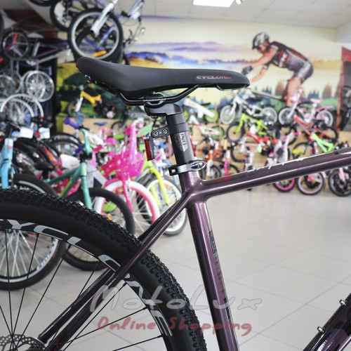 Горный велосипед Cyclone ALX, колесо 29 рама 20 2020, purple