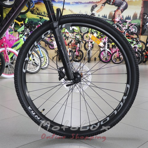 Mountain bike Cyclone ALX, wheel 29, frame 20, 2020, purple