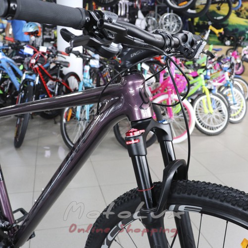 Горный велосипед Cyclone ALX, колесо 29 рама 20 2020, purple
