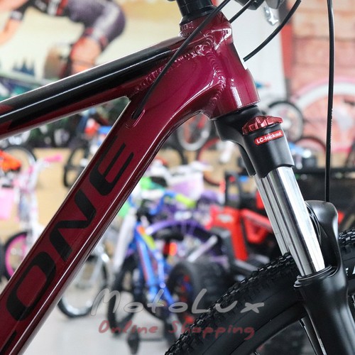 Hegyi kerékpár Cyclone AX 29",20 keret 2020, red
