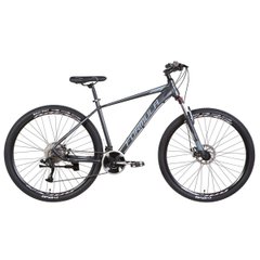 Bicycle Formula Zephyr 2.0, wheels 29, frame 19, grey