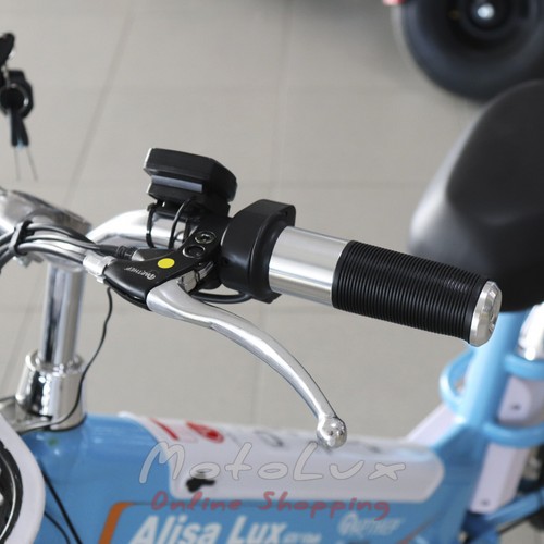 Elektrický bicykel Alisa Lux, koleso 22, 350 W, 60 V, blue