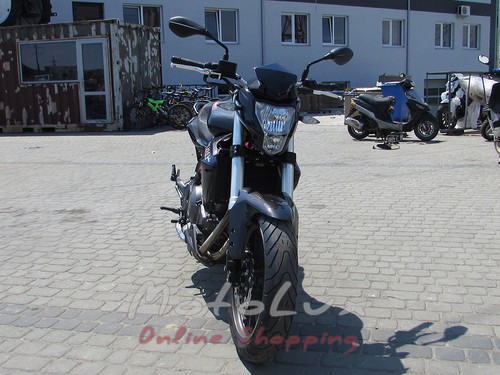 Motorcycle Geon Benelli TNT300