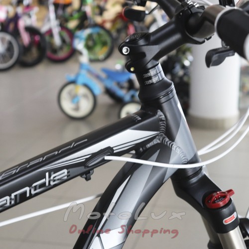 Гірський велосипед Benetti Grande DD, колеса 29, рама 21, 2020, black n grey