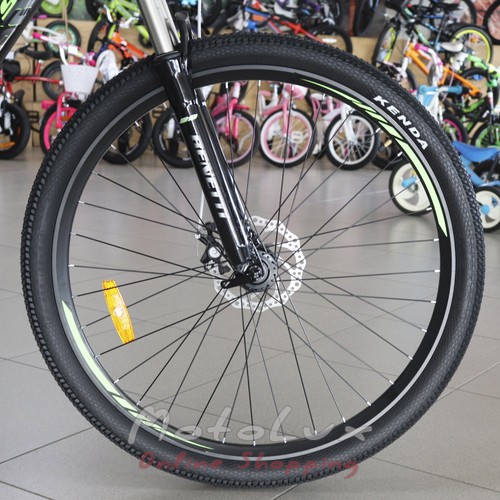 Mountain bicycle Benetti Grande DD, wheels 29, frame 18, 2020, black n green