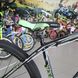 Гірський велосипед Benetti Grande DD, колеса 29, рама 18, 2020, black n green