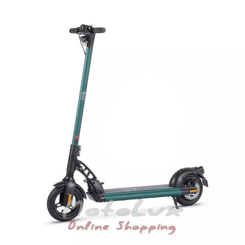Electric scooter TTG DES01, 36V, 350W, 7.8AH, green