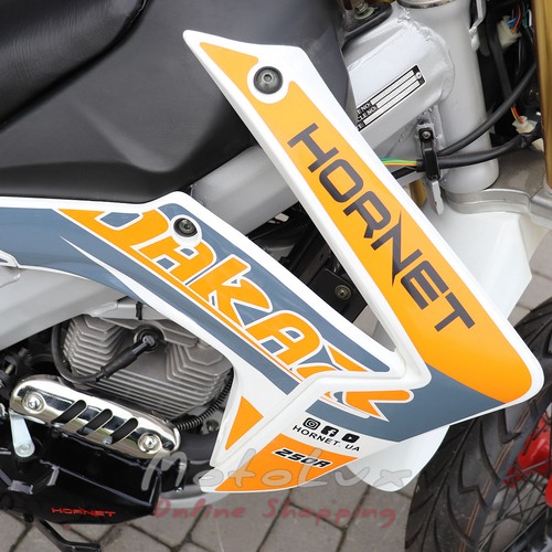 Motorcycle Hornet Dakar Pro 250 Motard, white