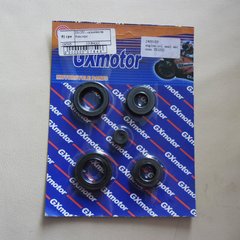 Oil seal on blister ZS125J
