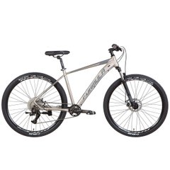 Bicycle AL 29 Formula Zephyr 1.0 AM DD, frame 19, silver with grey, 2022