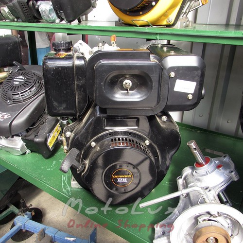 Diesel engine G186 manual starter FORTE