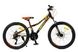 Teenage bicycle Benetti Forte DD, wheel 24, frame 13, 2019, black n orange
