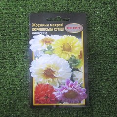 Насіння Квіти Жоржини суміш Королівська махрова 0.5 г