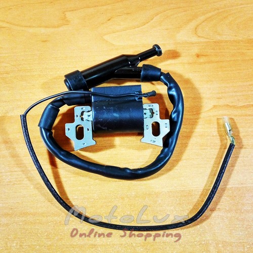 Ignition coil for Zubr GN4 (6.5HP)