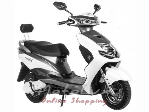 Eletcric scooter Speedy, wheel 16, 800 W, 60 V, 2019, white n grey
