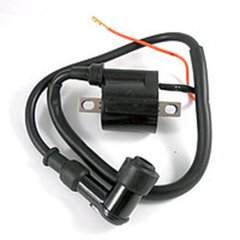 Babina (ignition coil with a cap, candles) on a moped Delta