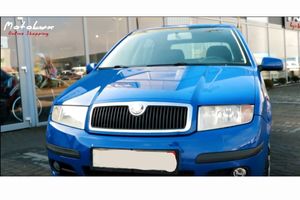 Video review of the Skoda Fabia