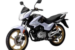 Видео обзор мотоцикла Geon Pantera 202 CBF