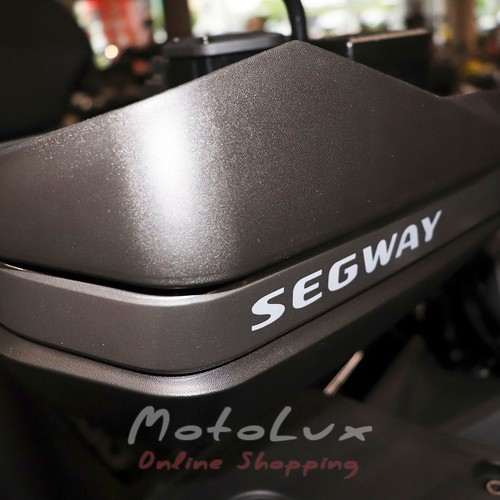 Утилитарный квадроцикл Segway Snarler 500 AT5L Full DeLuxe, черный, 2024