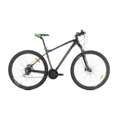 Avanti Canyon ER mountain bike, frame 17, wheels 29, black n green, 2021