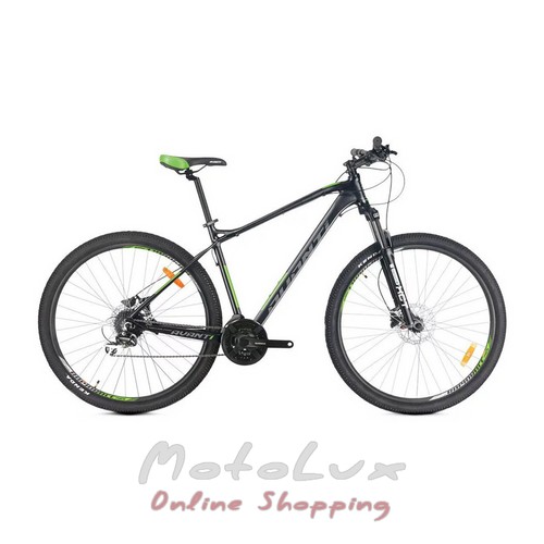Horský bicykel Avanti Canyon ER, rám 17, kolesá 29, čierna n zelená, 2021