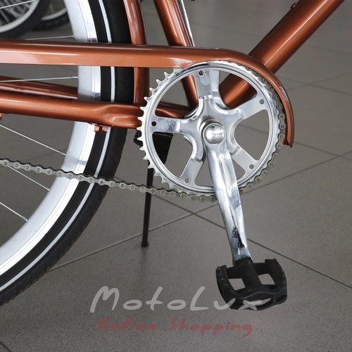 City bicycle Dorozhnik Comfort Male, wheels 28, frame 22, brown