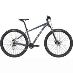 Cannondale Trail 6 Mountain Bike, L Frame, 29 Wheels, Gray, 2022