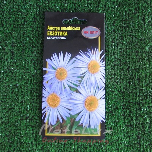 Semená Kvety Aster Alpine Exotica 0,1 g