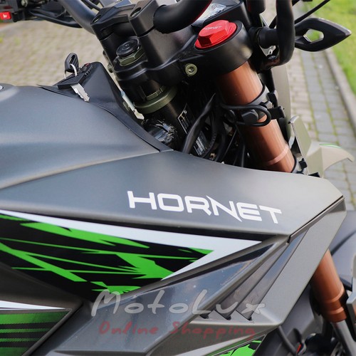 Motocykel Hornet Tekken 250