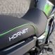Hornet Tekken 250 motorkerékpár