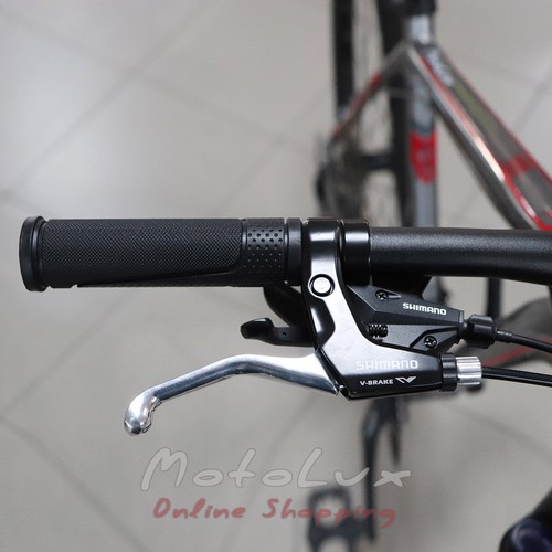 Mountain bicycle Cyclone Archer 21, wheels 26, frame 18, 2014, grey