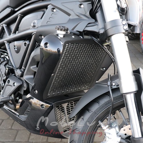 Motorcycle Benelli 502C ABS ON-road 2021