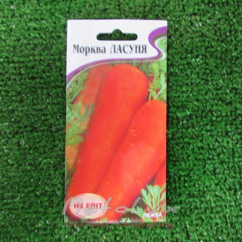 Seeds Carrot Lasoon 2 g