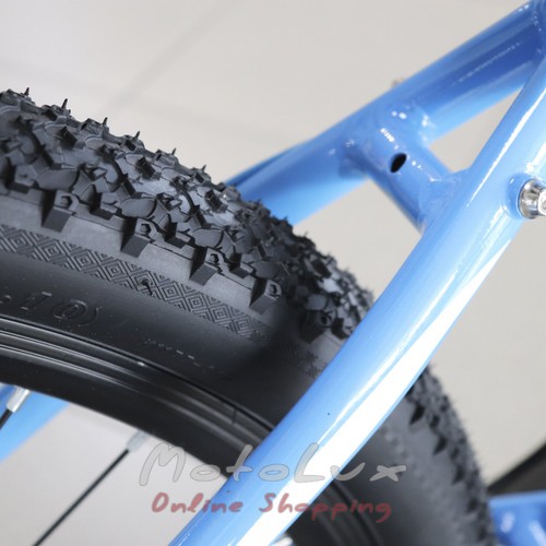 Teenage bicycle Virage Locri AM DD EF500, wheels 24, frame 13, 2020, white n blue