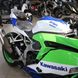 Спортивный мотоцикл Kawasaki Ninja ZX 4RR, зеленый с белым и синим, 2024