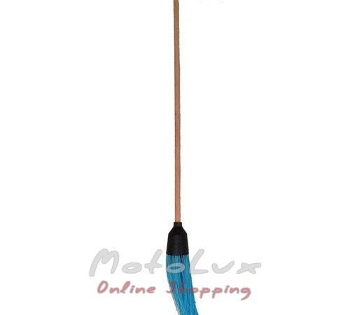 Plastic Broom with Wooden Handle